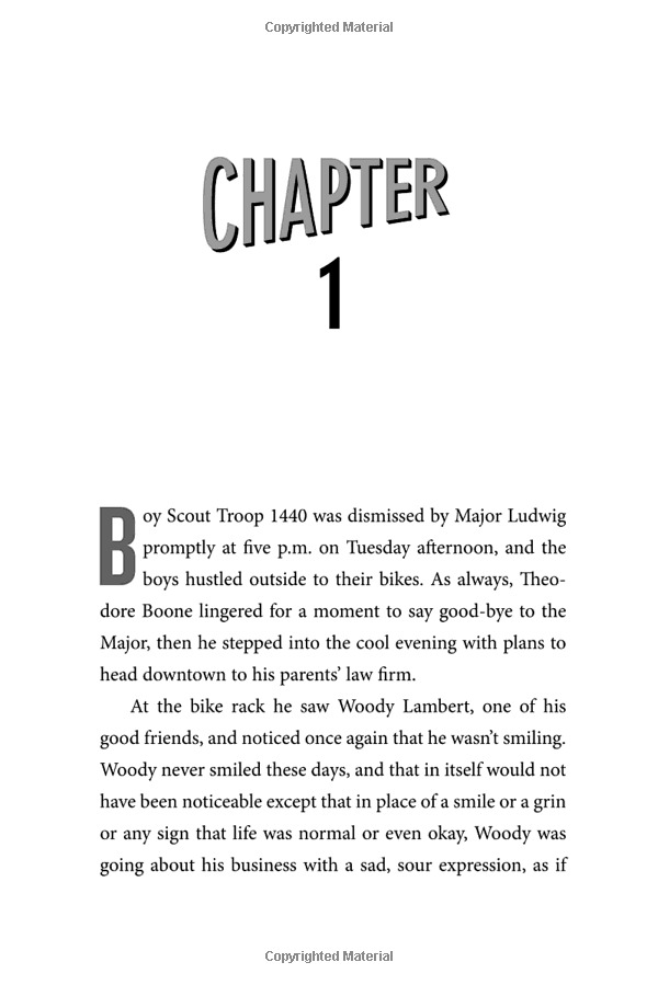 theodore boone: the accomplice