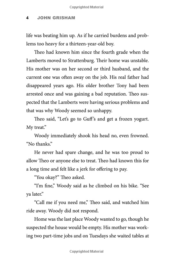 theodore boone: the accomplice