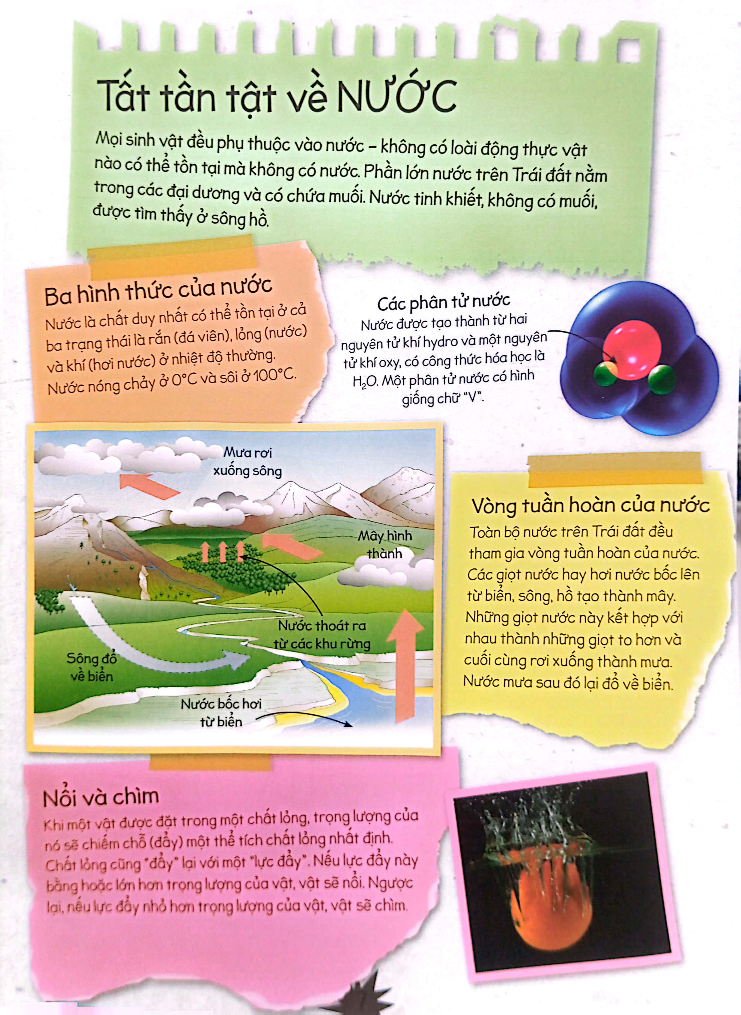 thí nghiệm stem siêu sáng tạo: không khí và nước