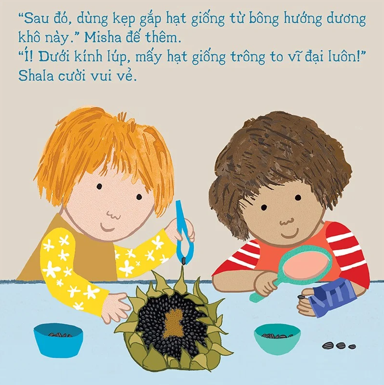 thí nghiệm vui cùng rosa - trồng hoa hướng dương