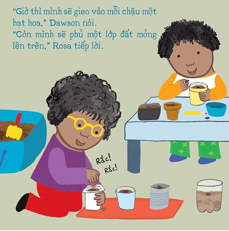 thí nghiệm vui cùng rosa - trồng hoa hướng dương