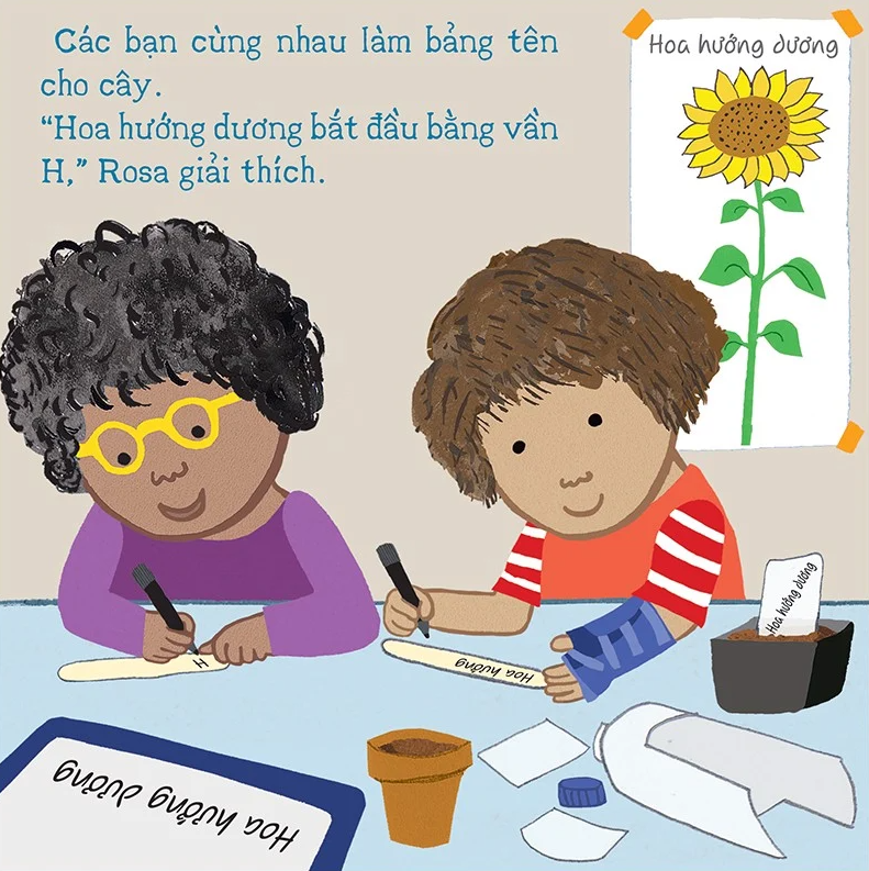 thí nghiệm vui cùng rosa - trồng hoa hướng dương