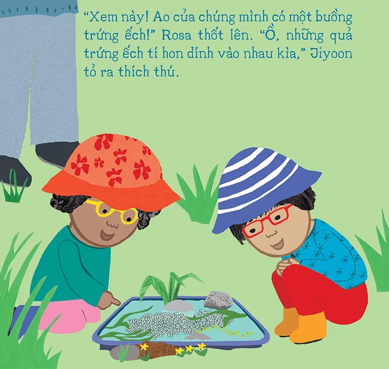 thí nghiệm vui cùng rosa - vòng đời của ếch