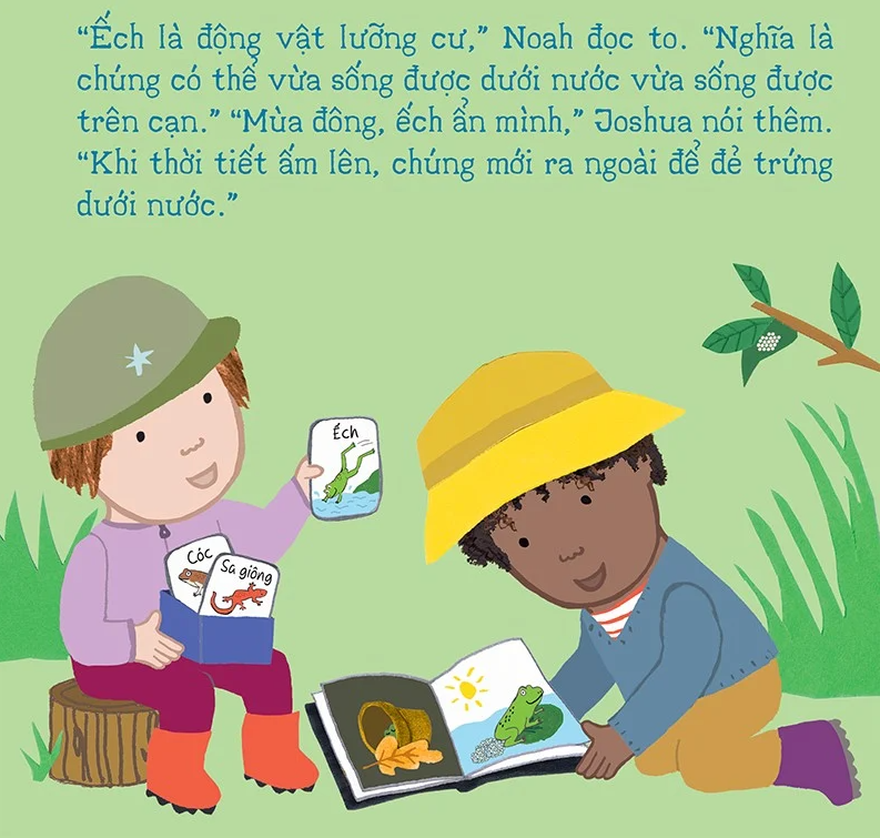 thí nghiệm vui cùng rosa - vòng đời của ếch