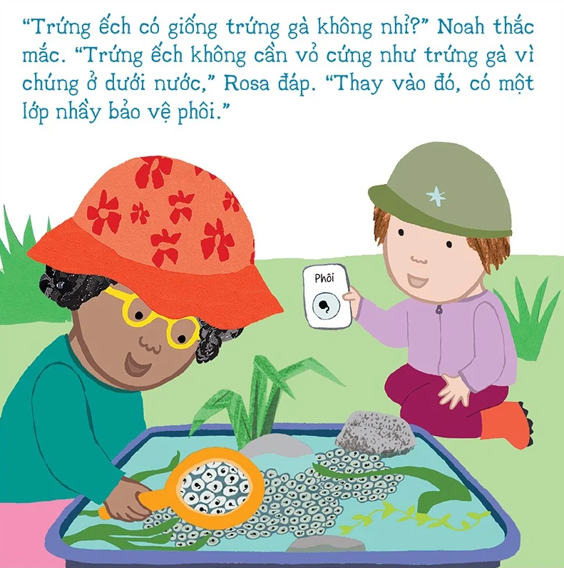 thí nghiệm vui cùng rosa - vòng đời của ếch