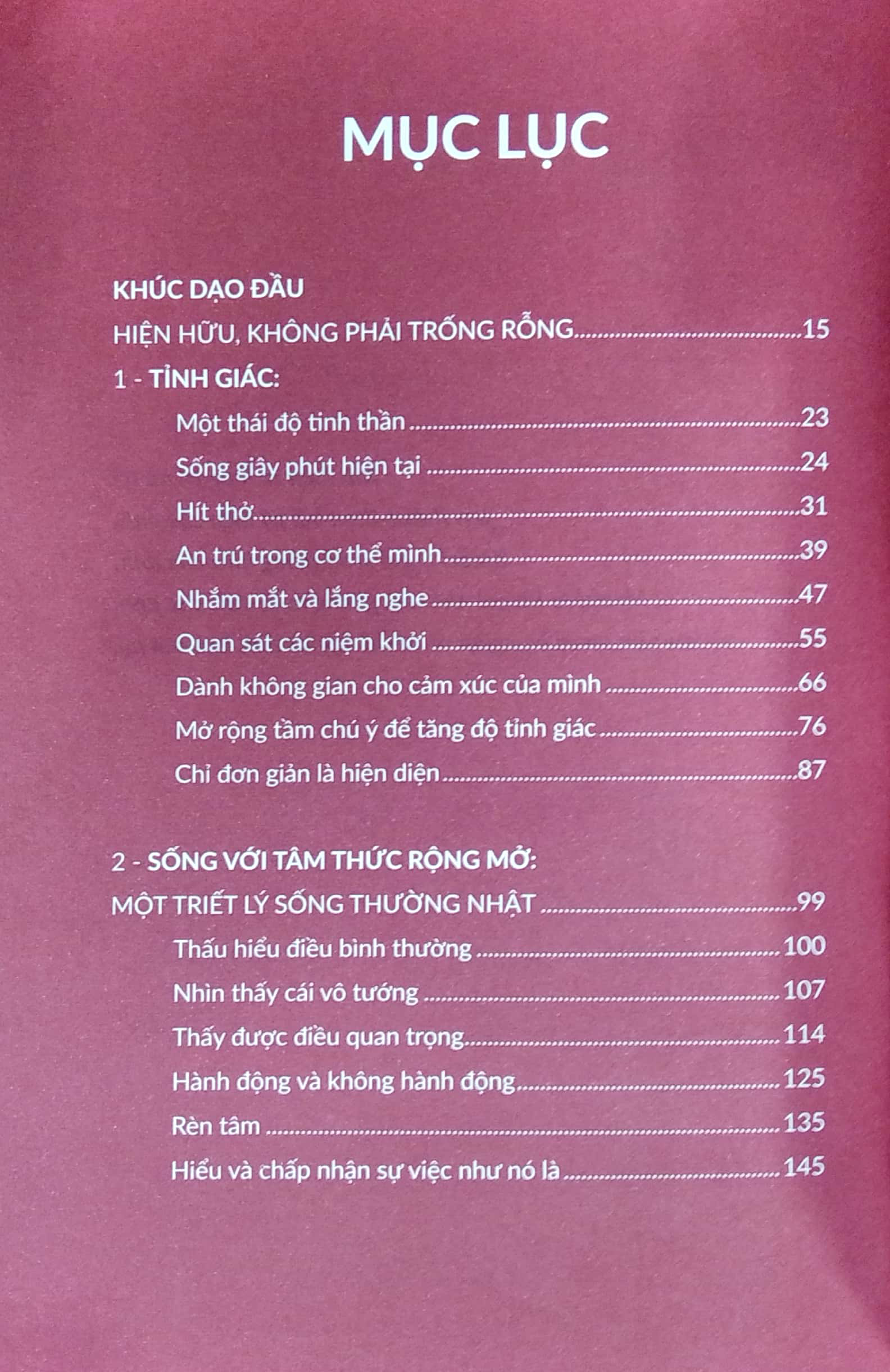 thiền định mỗi ngày - một cẩm nang nhỏ giúp luôn sống trong tỉnh thức