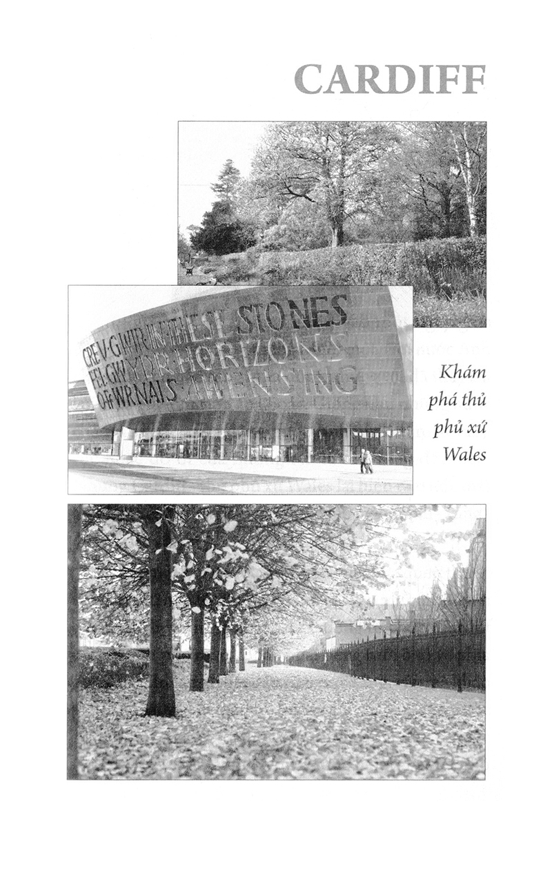 thiên đường qua những ô cửa màu xanh