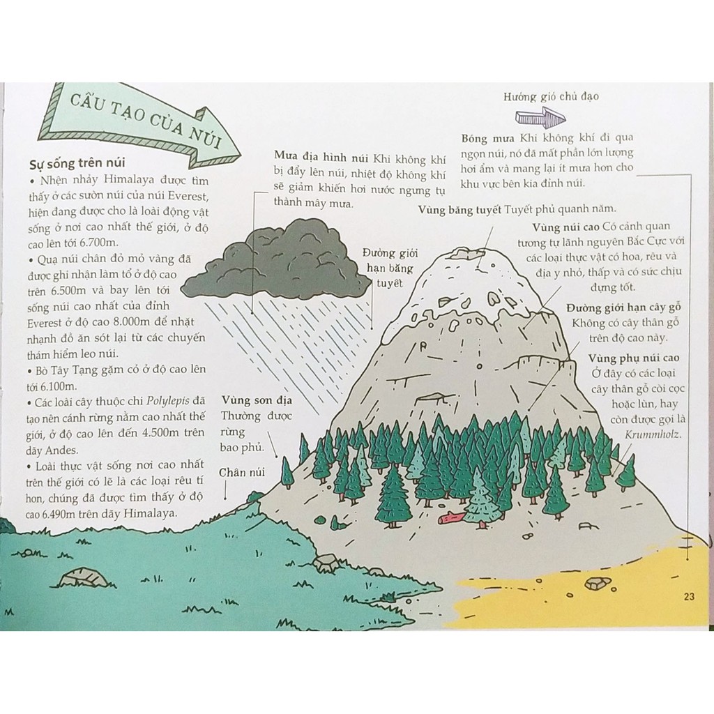 thiên nhiên kỳ thú