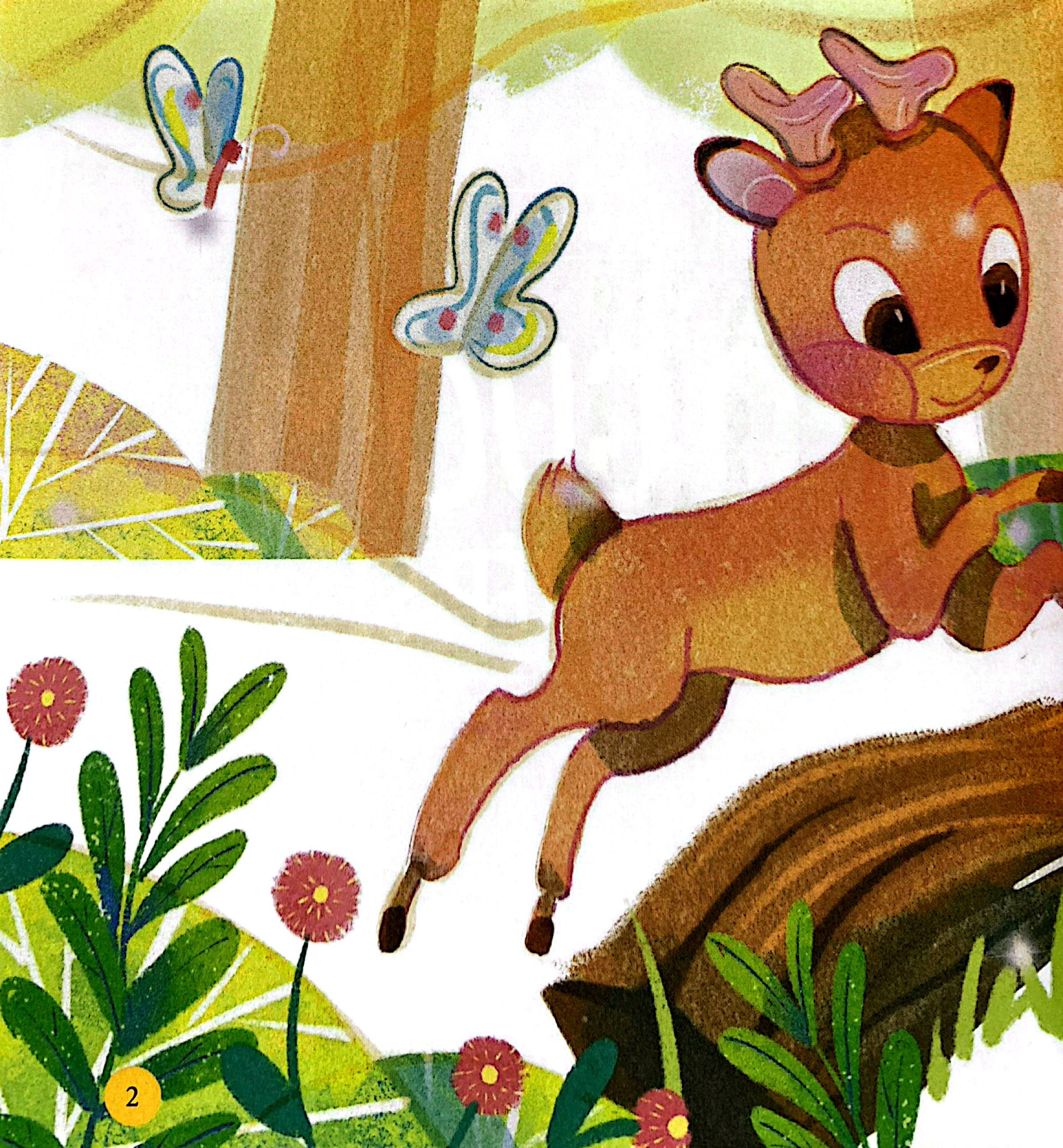 thiên nhiên kỳ thú - bộ gươm của hiệp sĩ