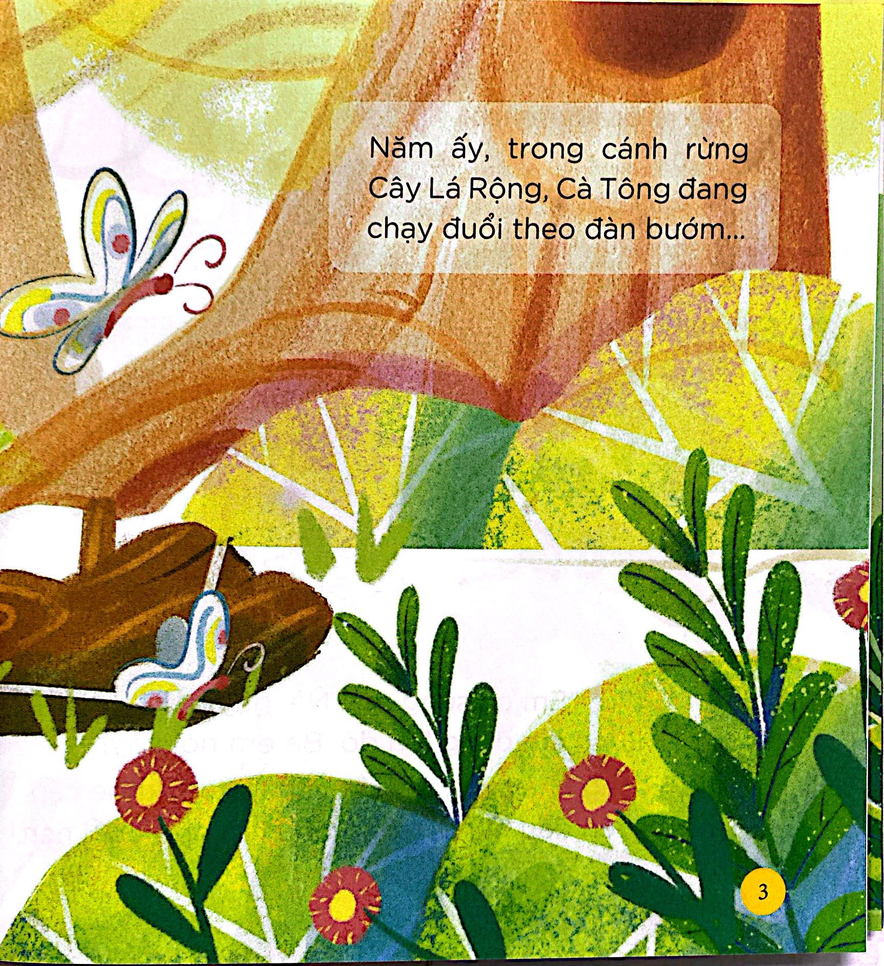 thiên nhiên kỳ thú - bộ gươm của hiệp sĩ