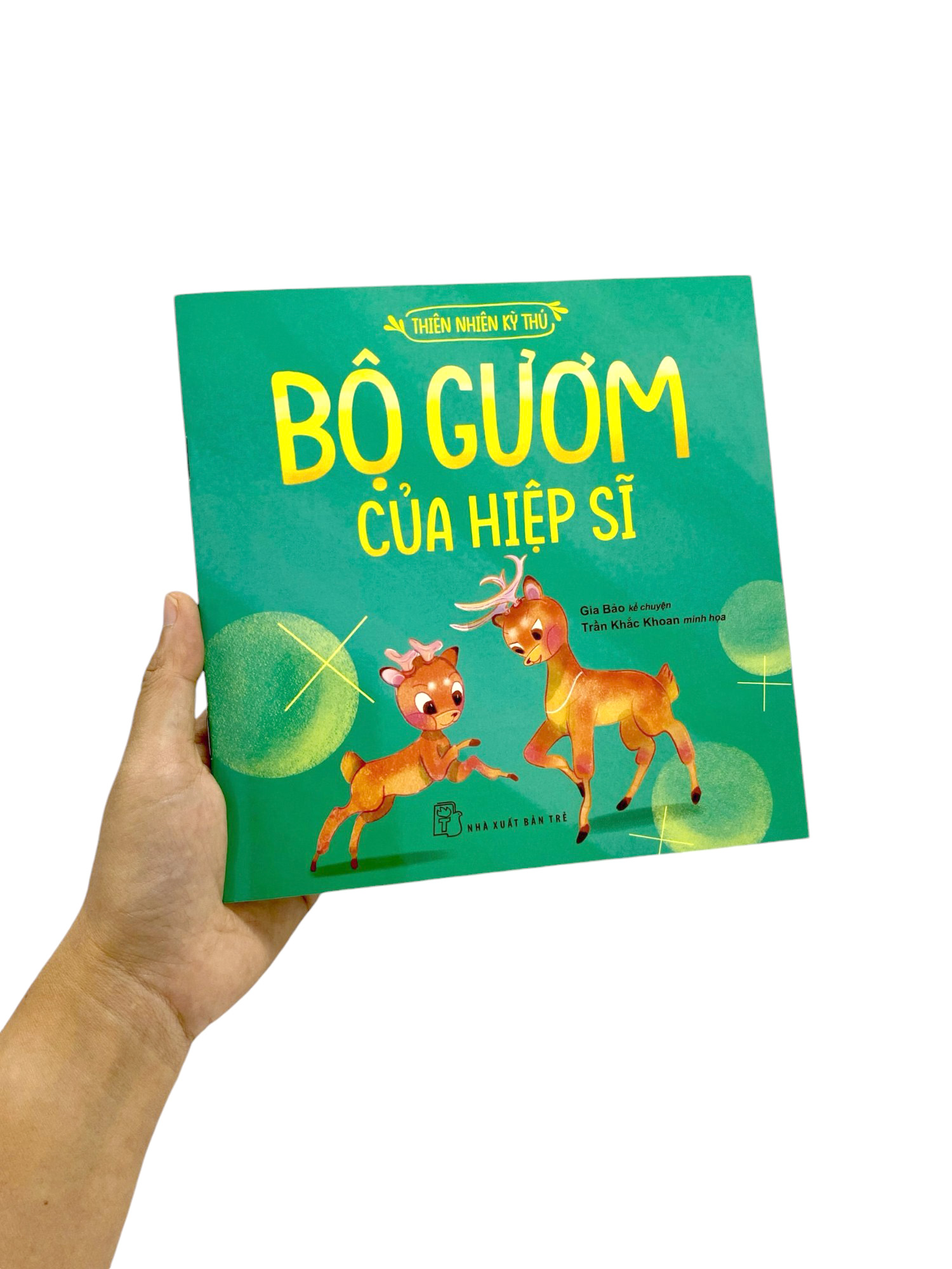 thiên nhiên kỳ thú - bộ gươm của hiệp sĩ