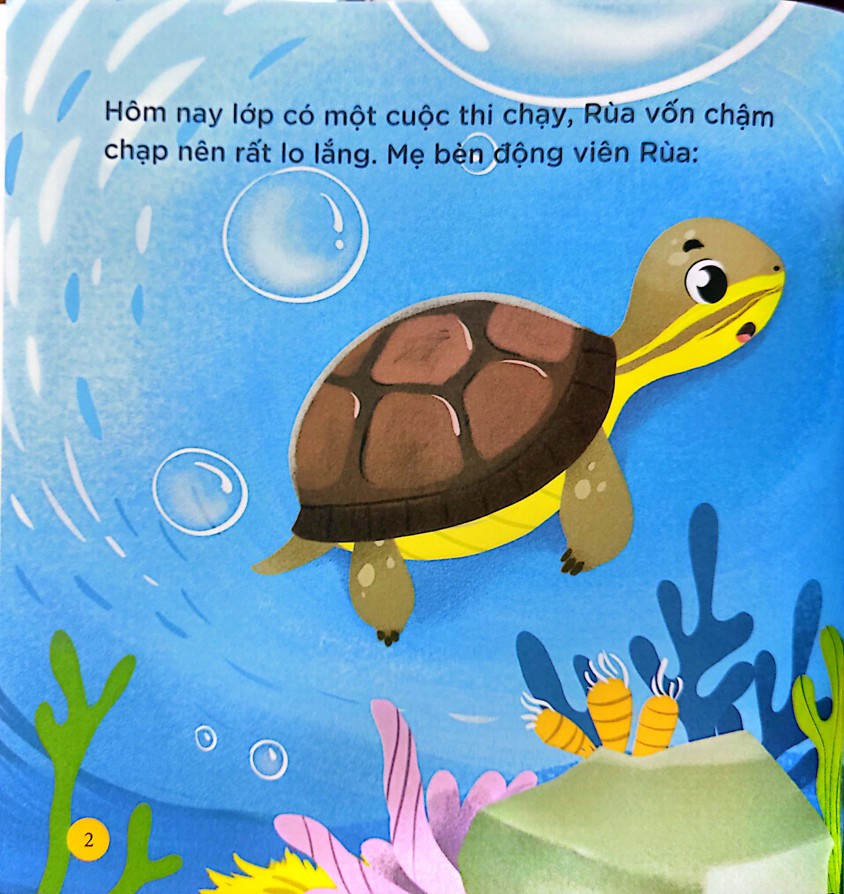 thiên nhiên kỳ thú - rùa hộp lưng đen