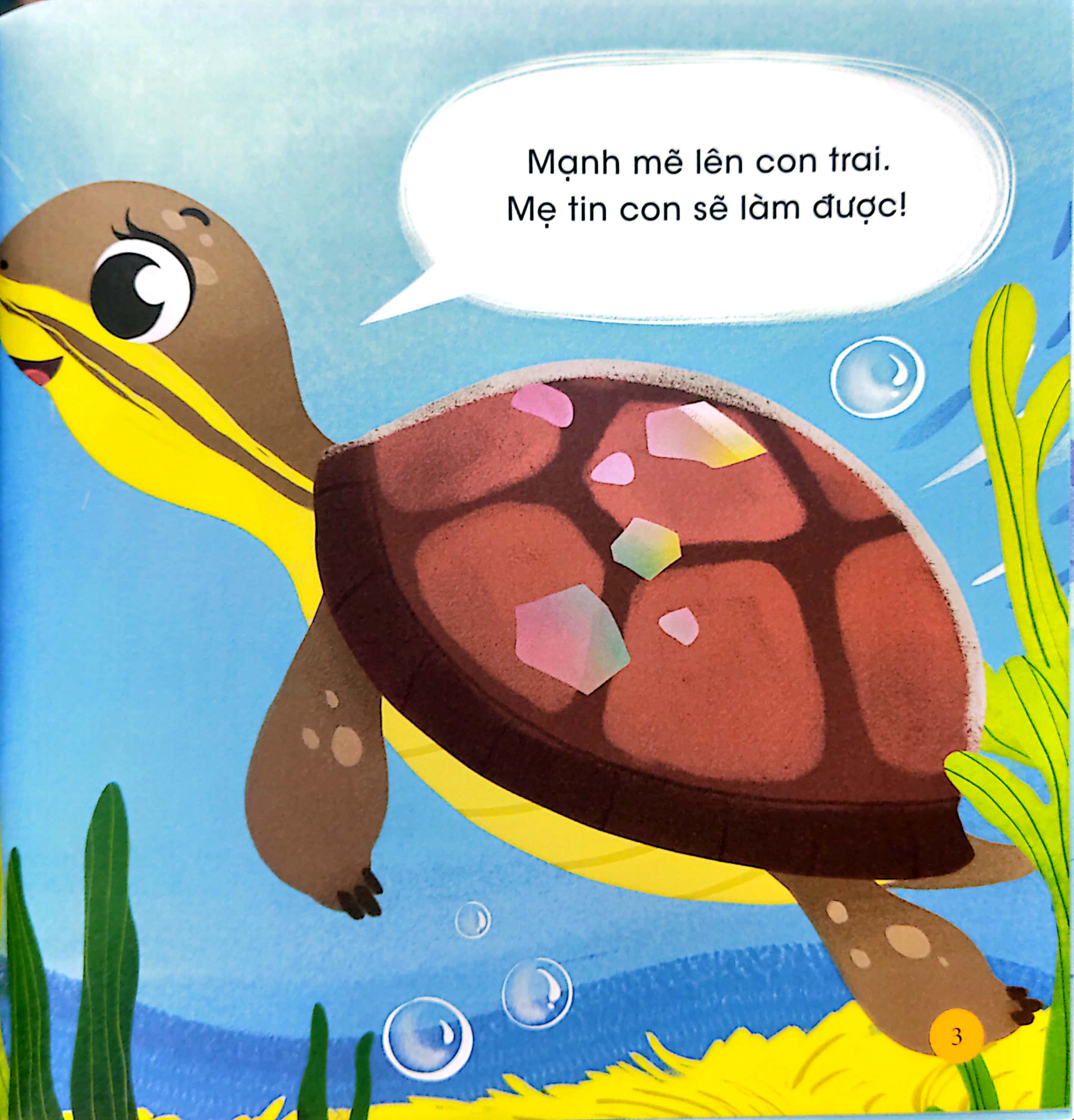 thiên nhiên kỳ thú - rùa hộp lưng đen