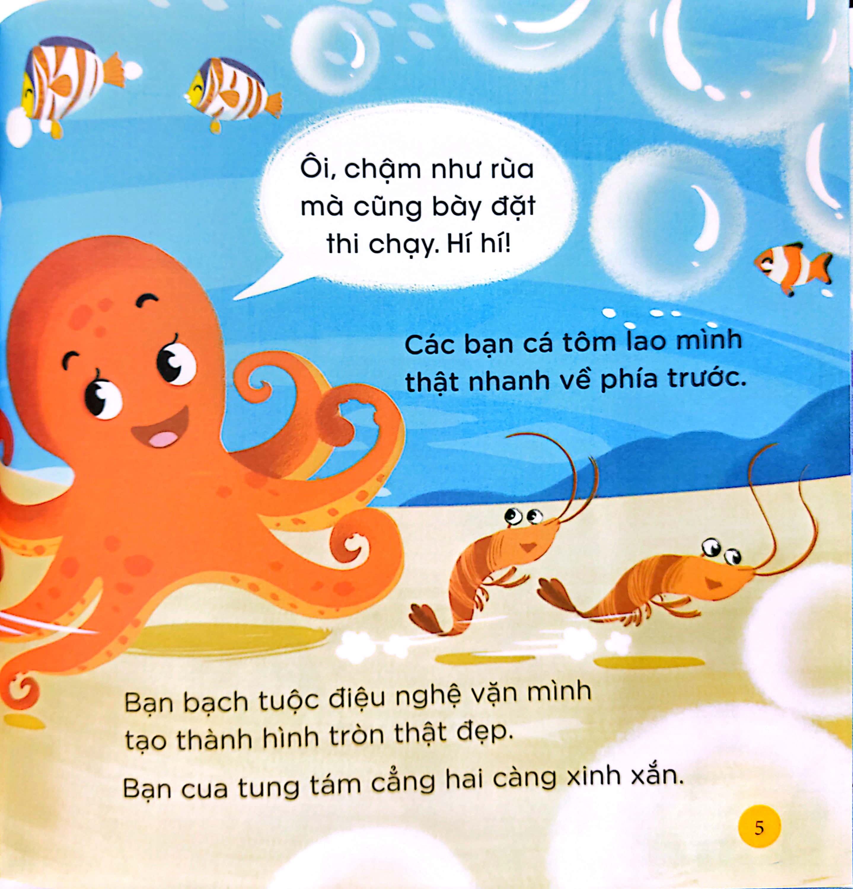 thiên nhiên kỳ thú - rùa hộp lưng đen