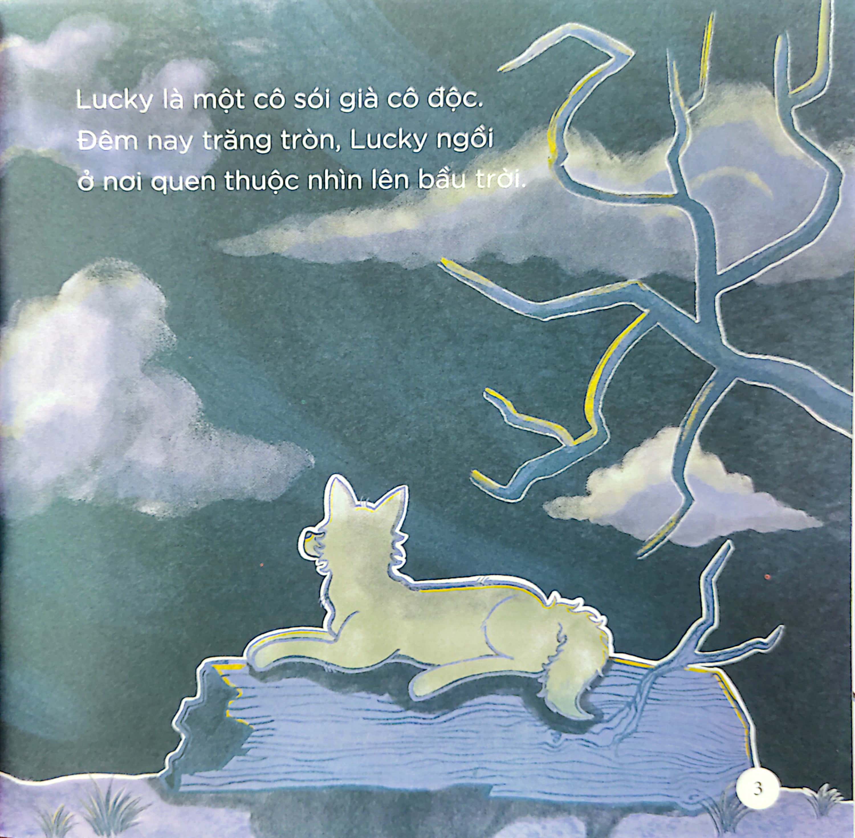 thiên nhiên kỳ thú - sói xám chờ trăng