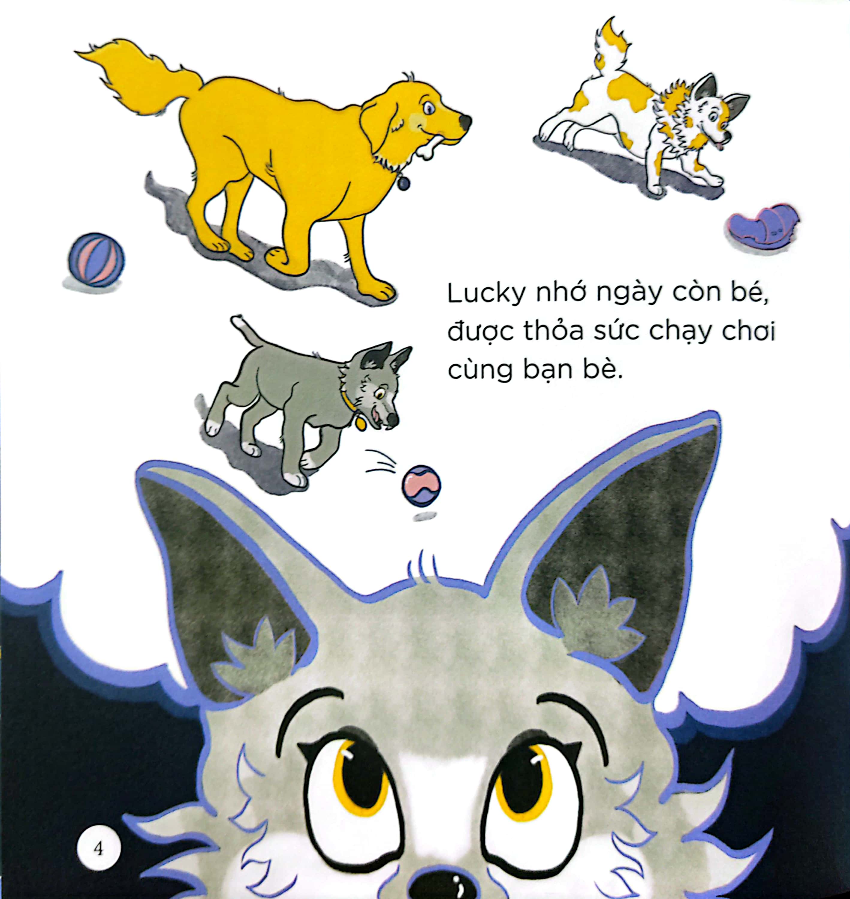 thiên nhiên kỳ thú - sói xám chờ trăng