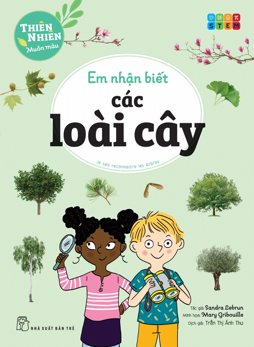 thiên nhiên muôn màu - stem - em nhận biết các loài cây