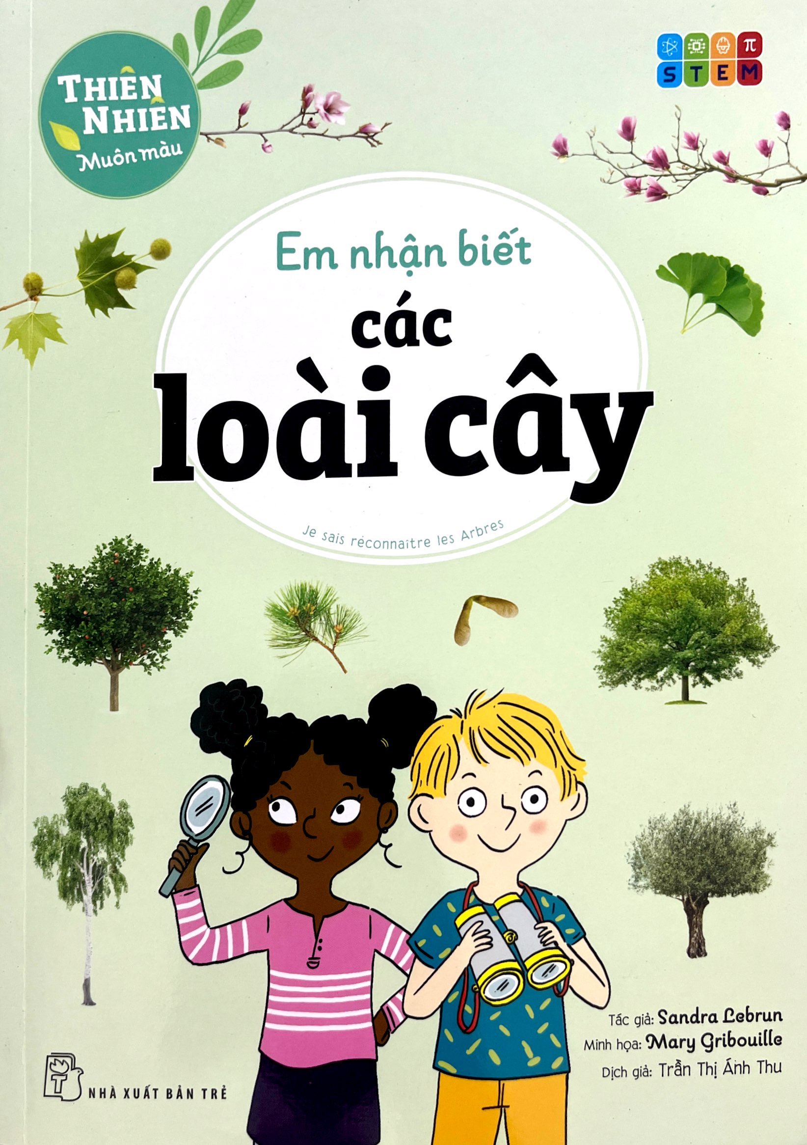 thiên nhiên muôn màu - stem - em nhận biết các loài cây