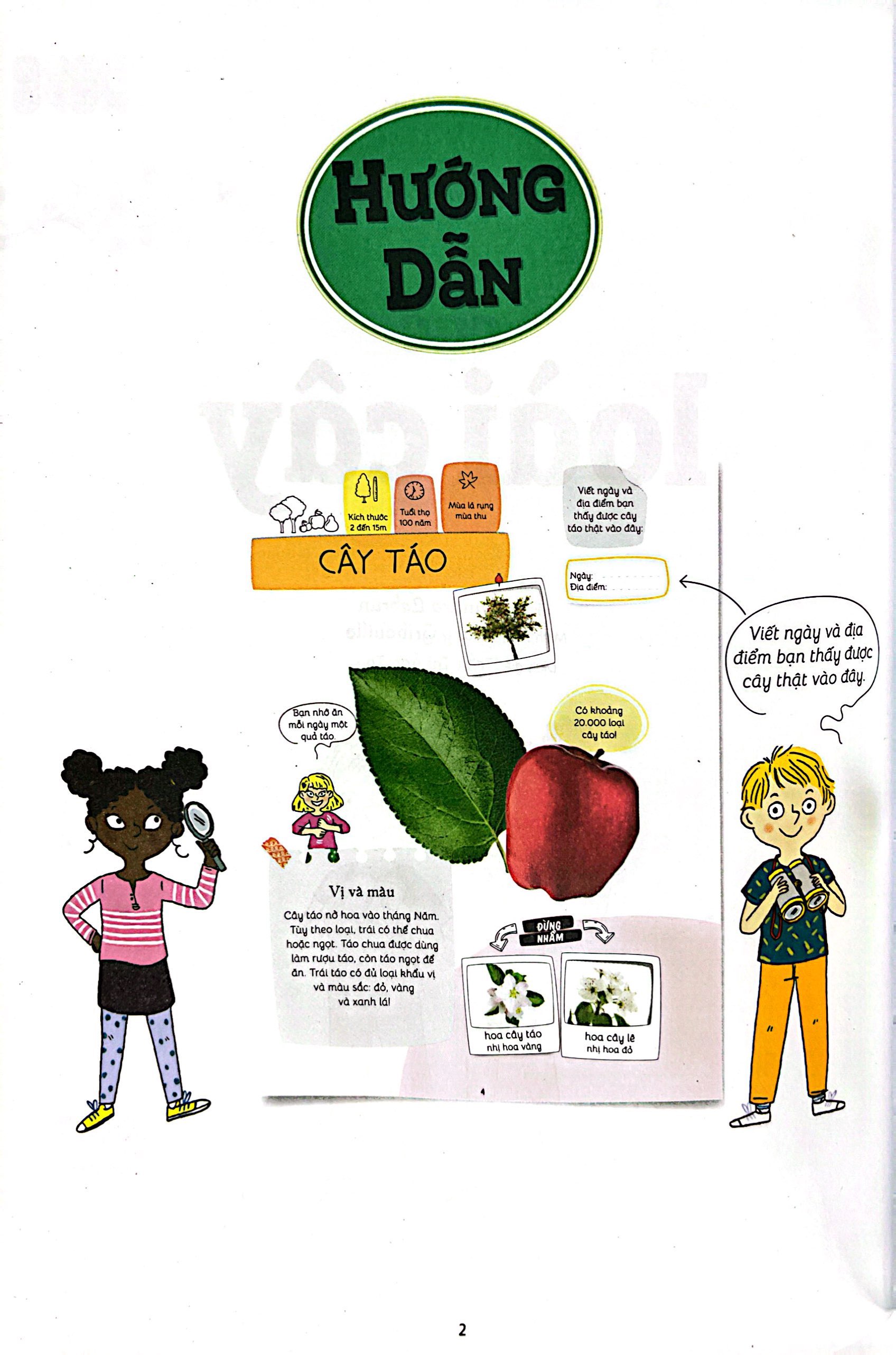 thiên nhiên muôn màu - stem - em nhận biết các loài cây