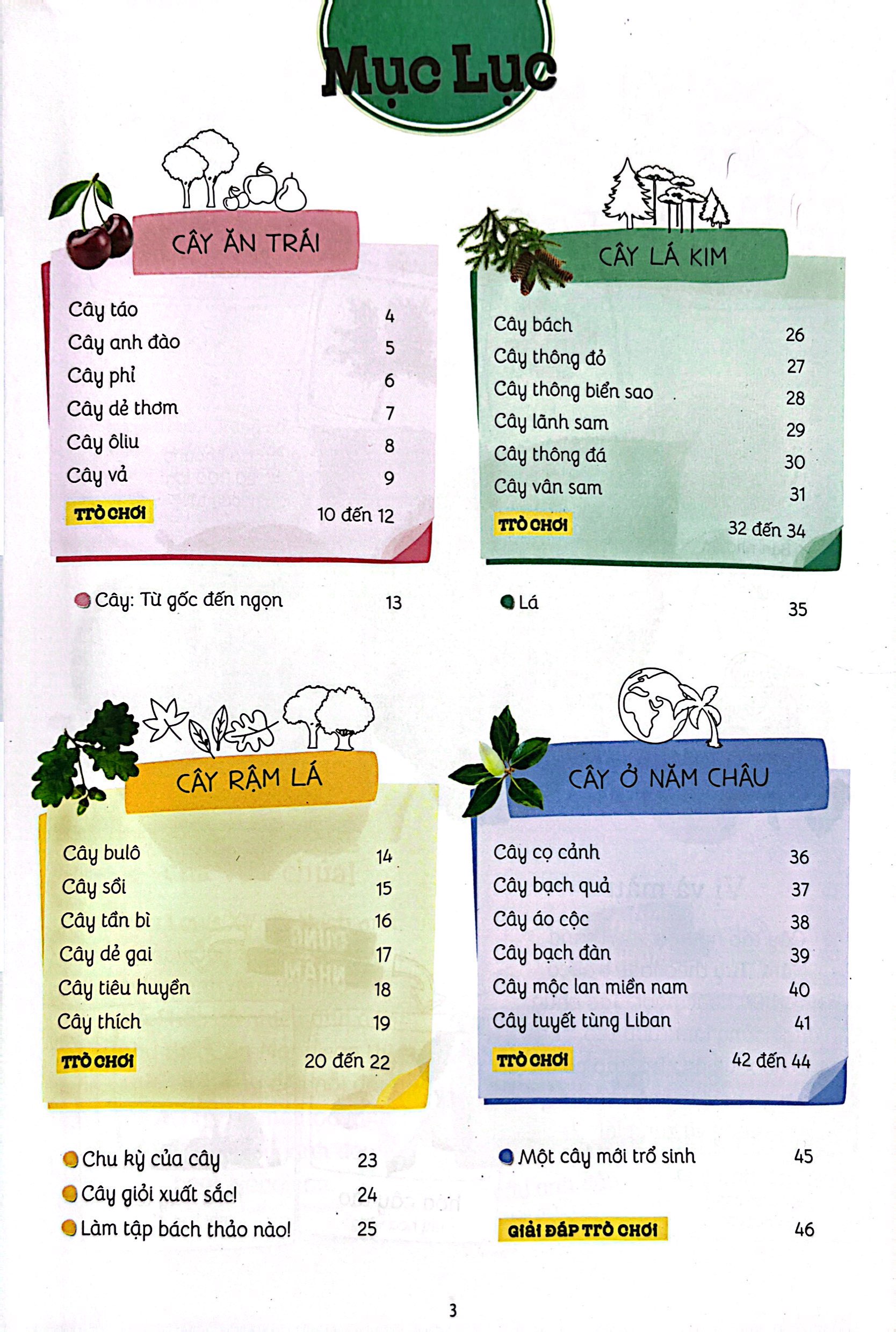 thiên nhiên muôn màu - stem - em nhận biết các loài cây