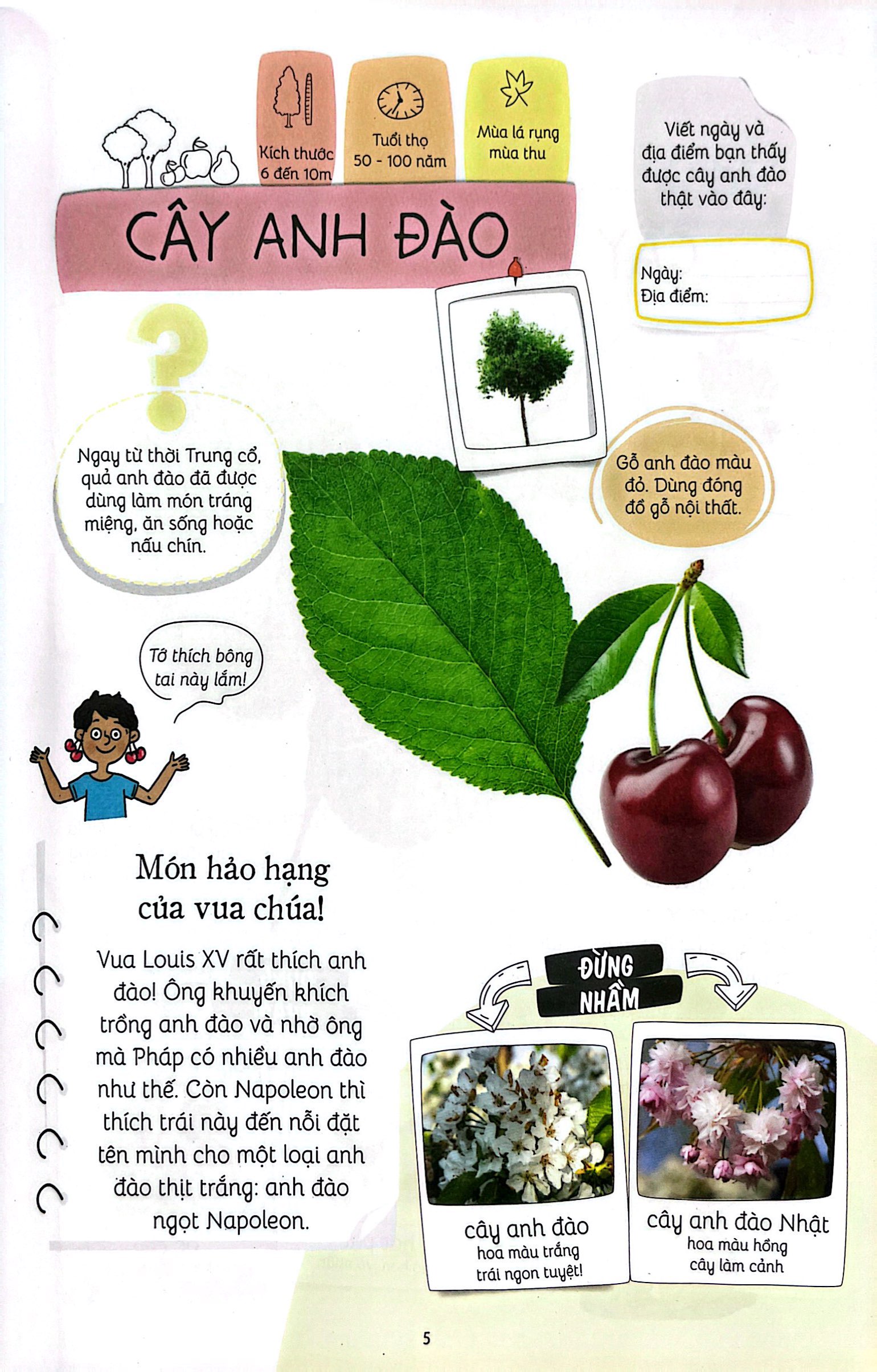 thiên nhiên muôn màu - stem - em nhận biết các loài cây