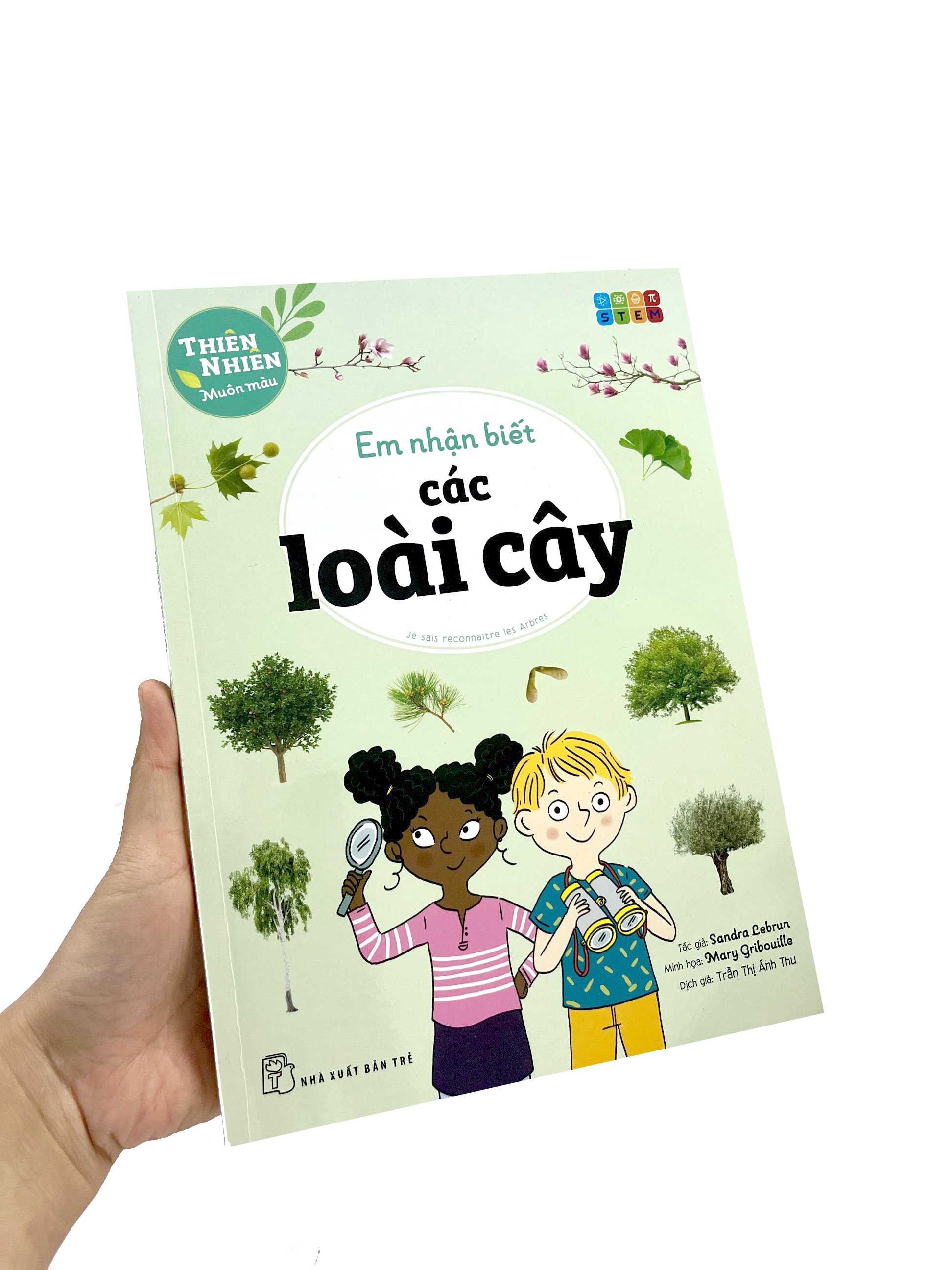 thiên nhiên muôn màu - stem - em nhận biết các loài cây