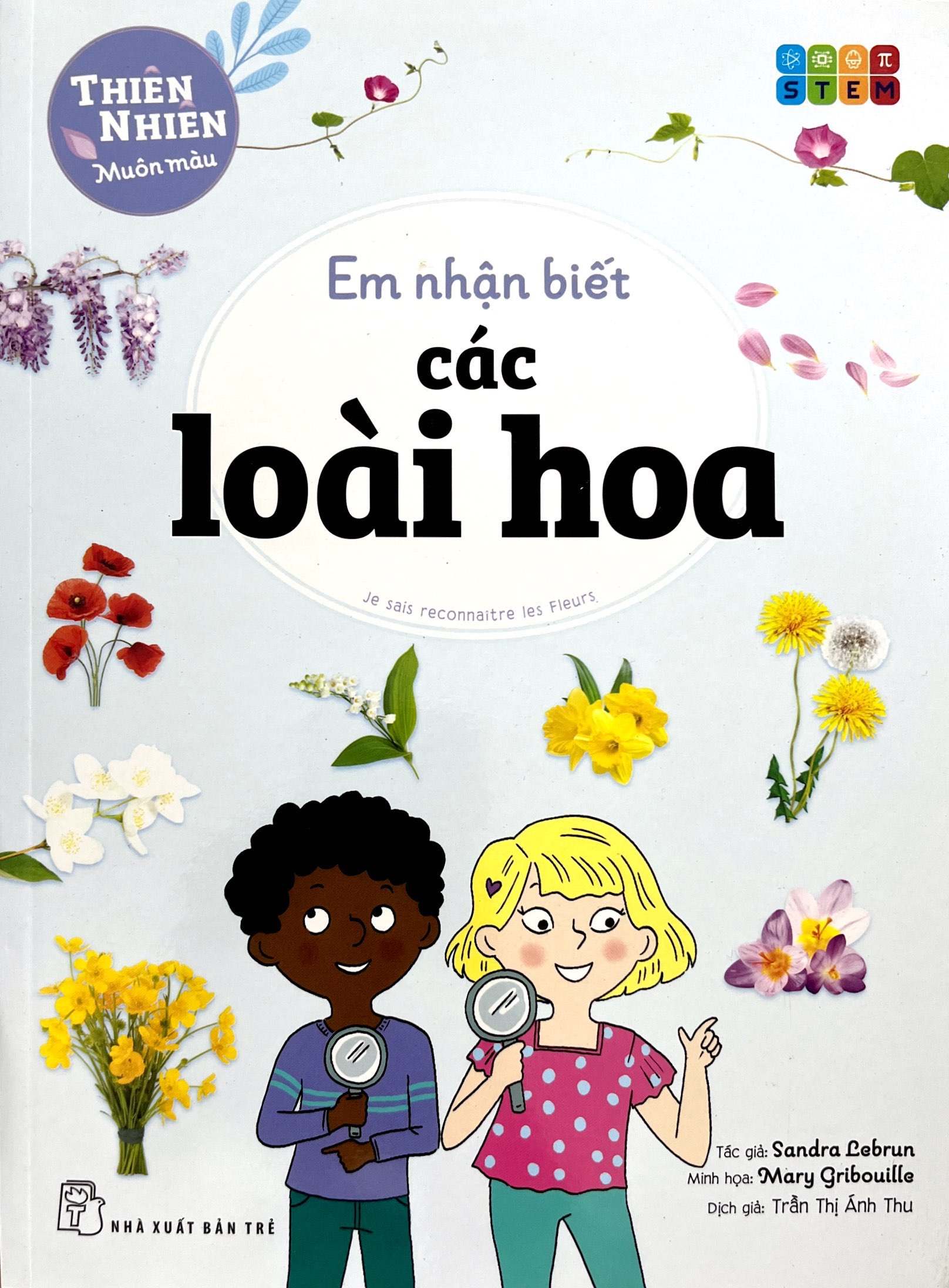 thiên nhiên muôn màu - stem - em nhận biết các loài hoa