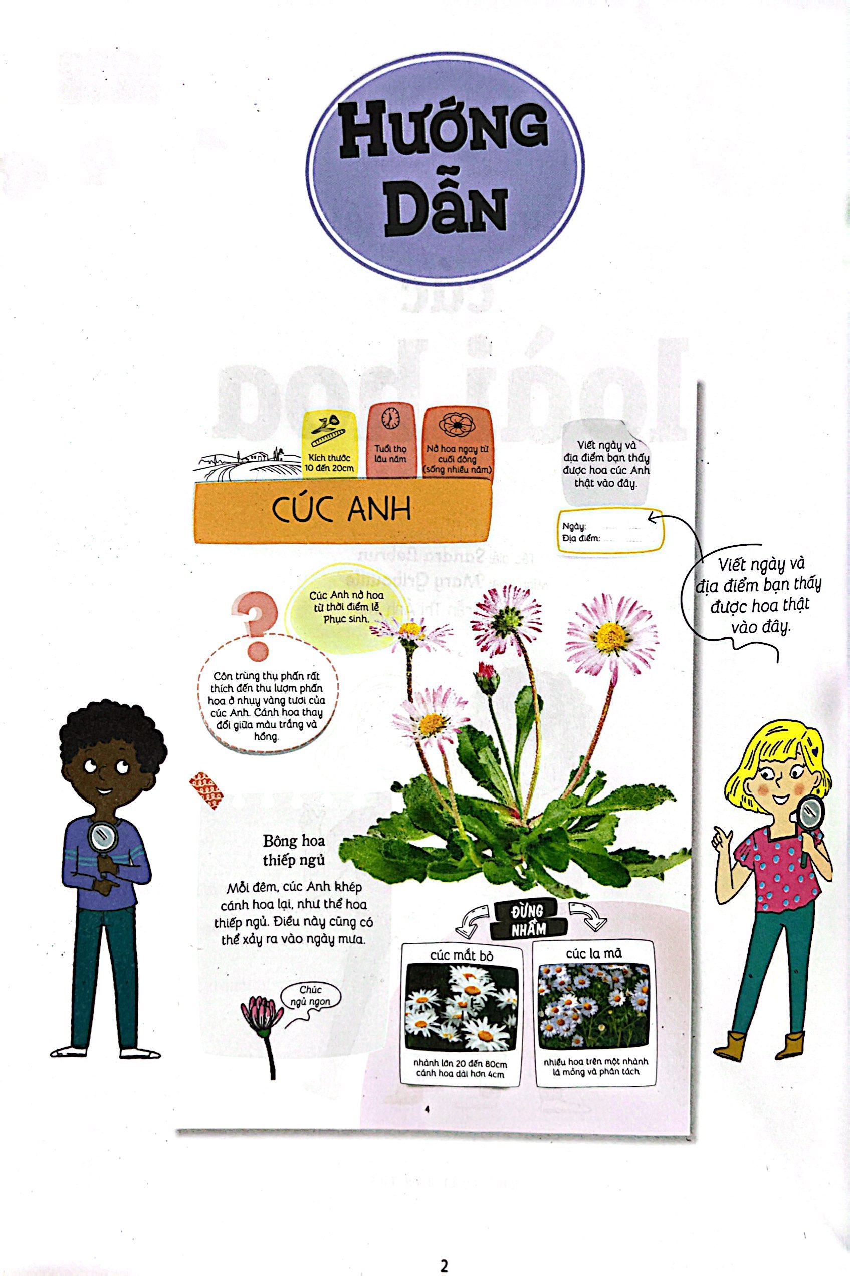 thiên nhiên muôn màu - stem - em nhận biết các loài hoa