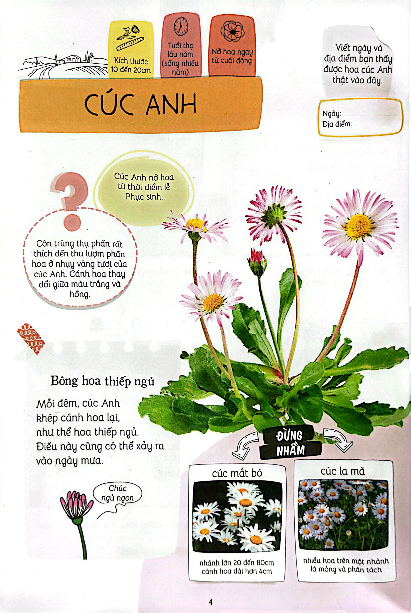 thiên nhiên muôn màu - stem - em nhận biết các loài hoa