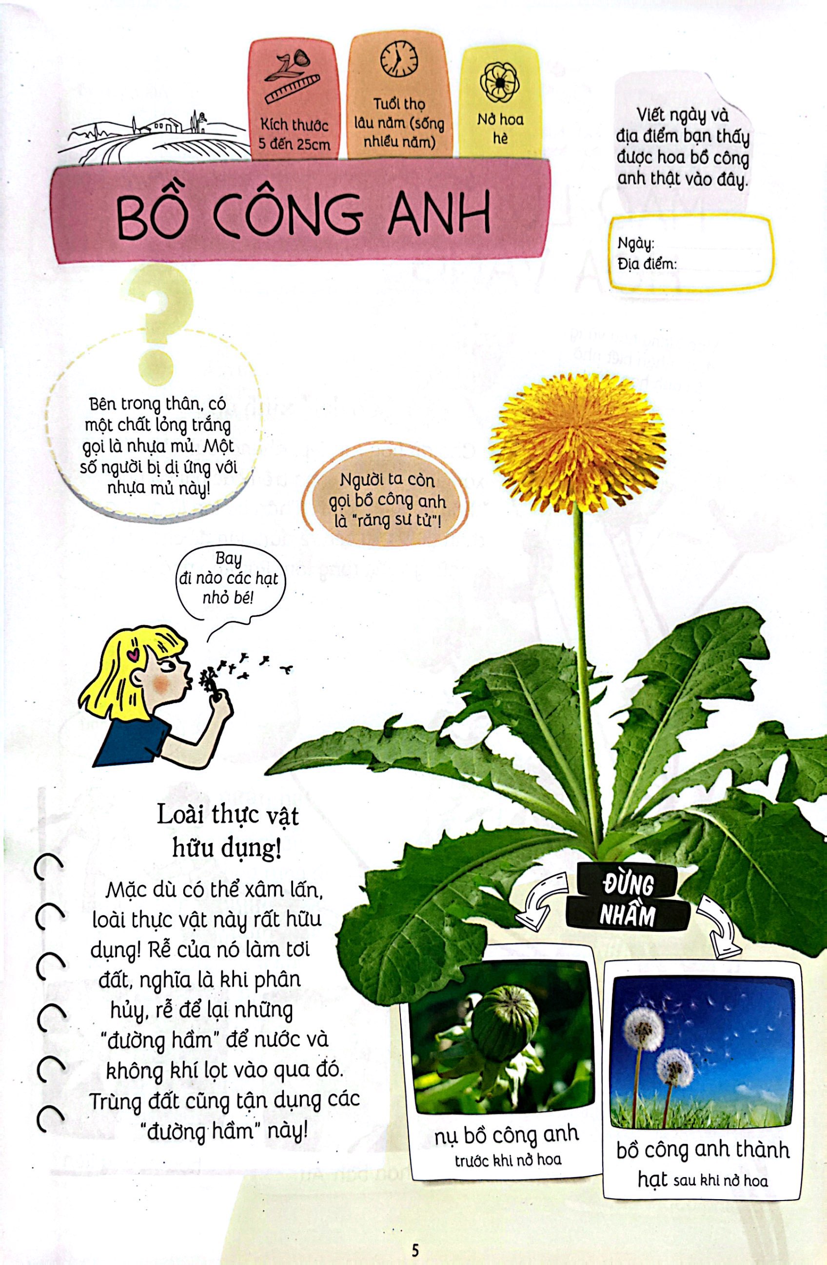 thiên nhiên muôn màu - stem - em nhận biết các loài hoa