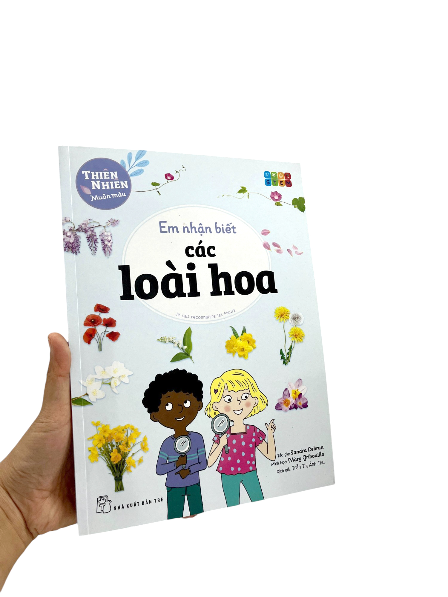 thiên nhiên muôn màu - stem - em nhận biết các loài hoa