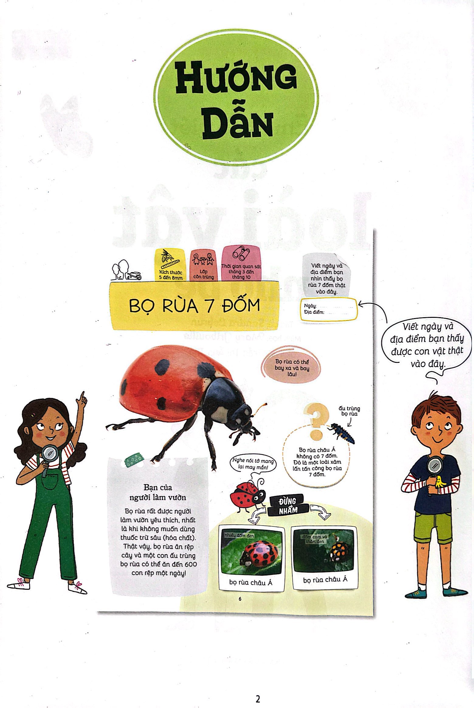 thiên nhiên muôn màu - stem - em nhận biết các loài vật nhỏ bé