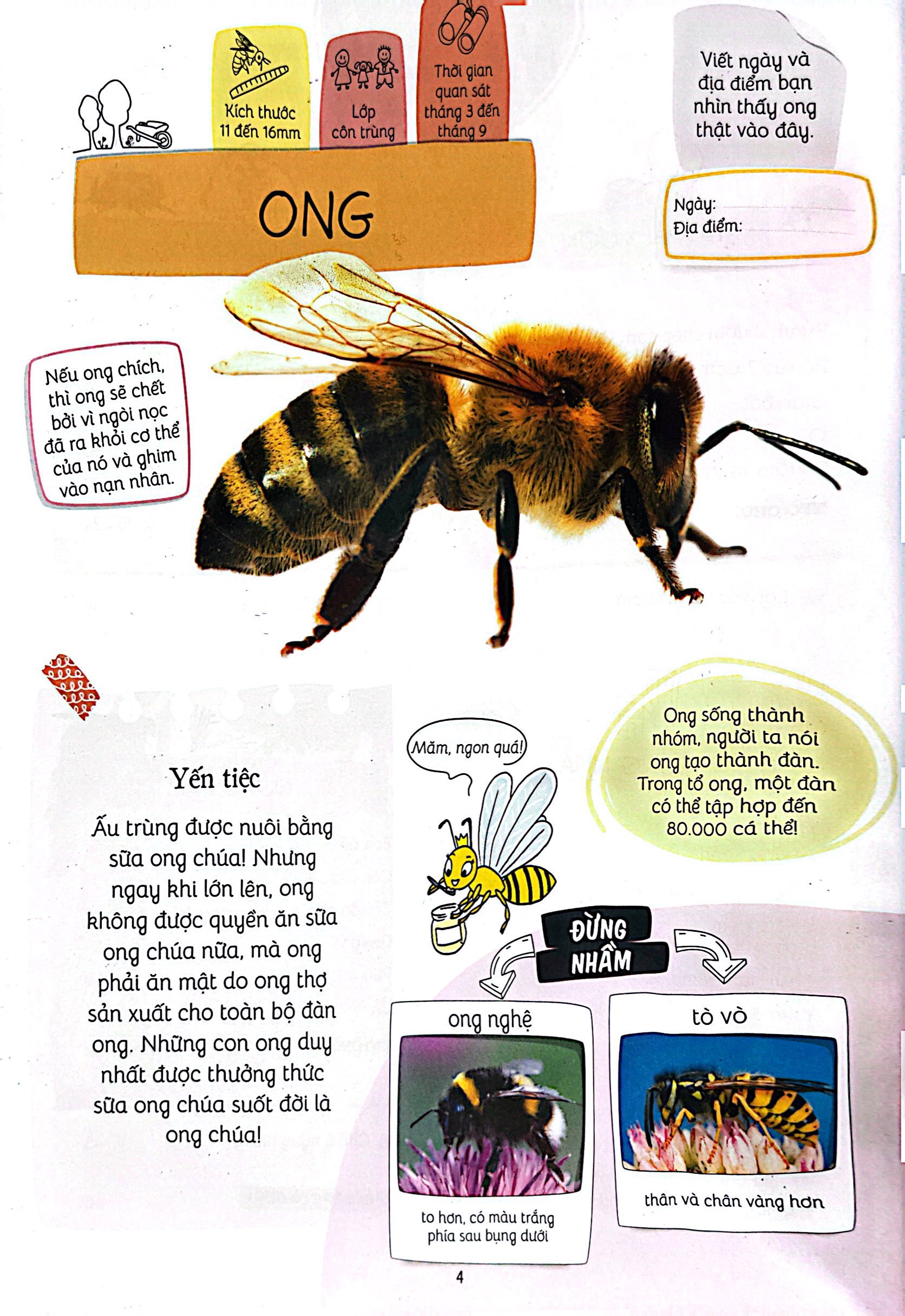 thiên nhiên muôn màu - stem - em nhận biết các loài vật nhỏ bé