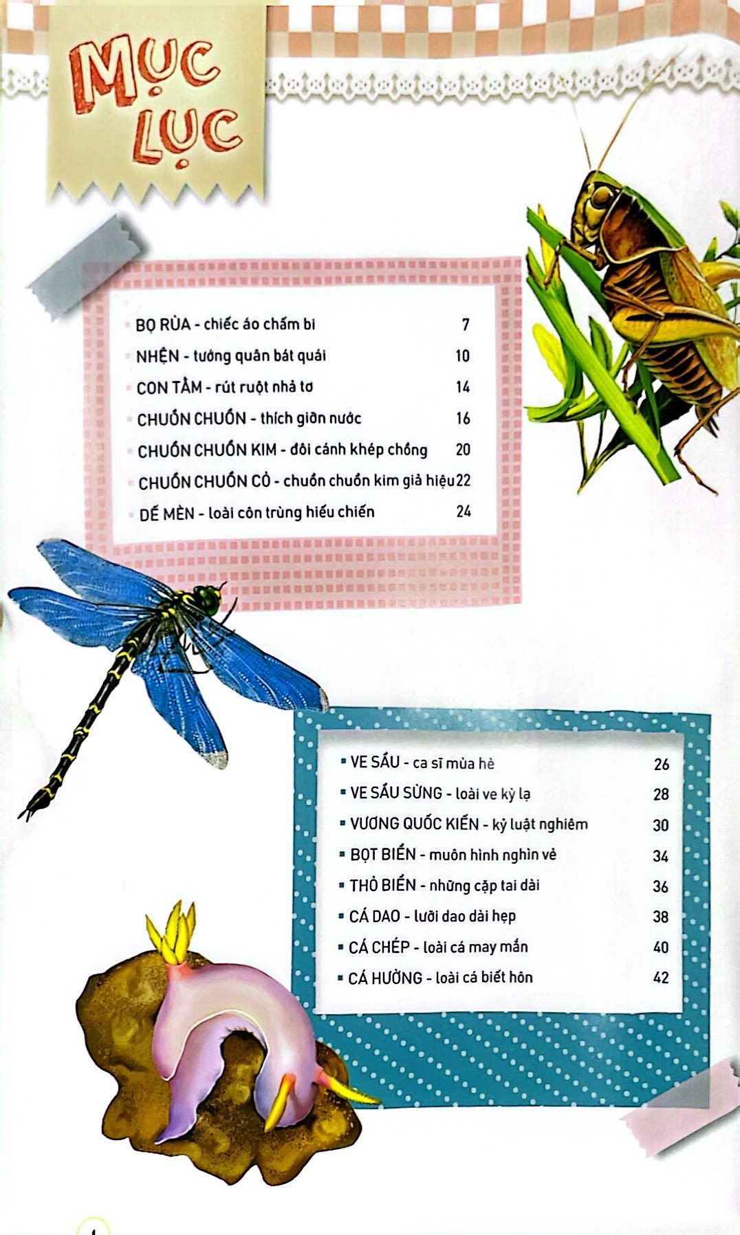 thiên nhiên - những bí mật còn ẩn giấu - động vật đáng yêu