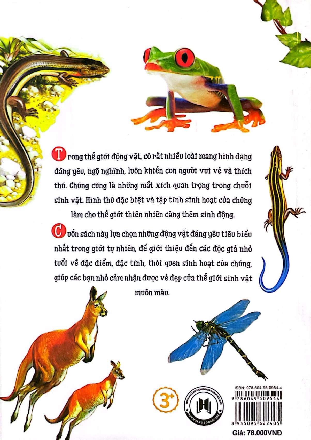 thiên nhiên - những bí mật còn ẩn giấu - động vật đáng yêu