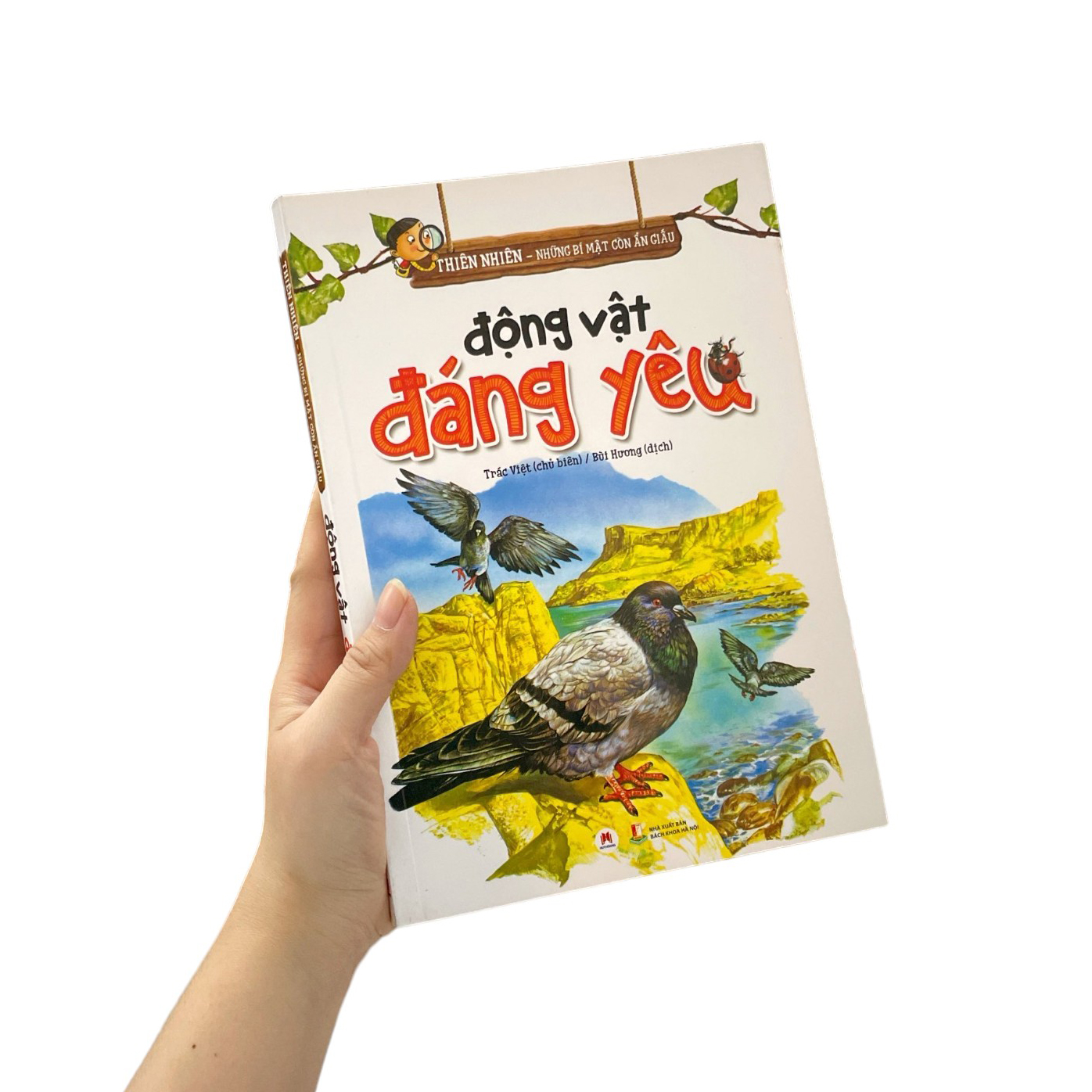 thiên nhiên - những bí mật còn ẩn giấu - động vật đáng yêu