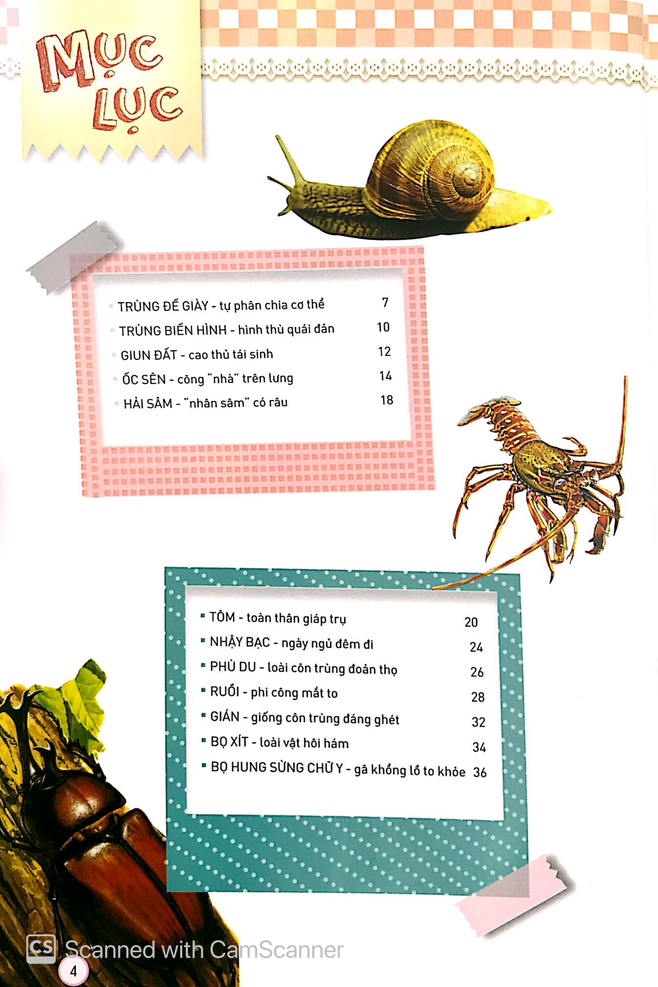 thiên nhiên - những bí mật con ân giấu - động vật kỳ quặc