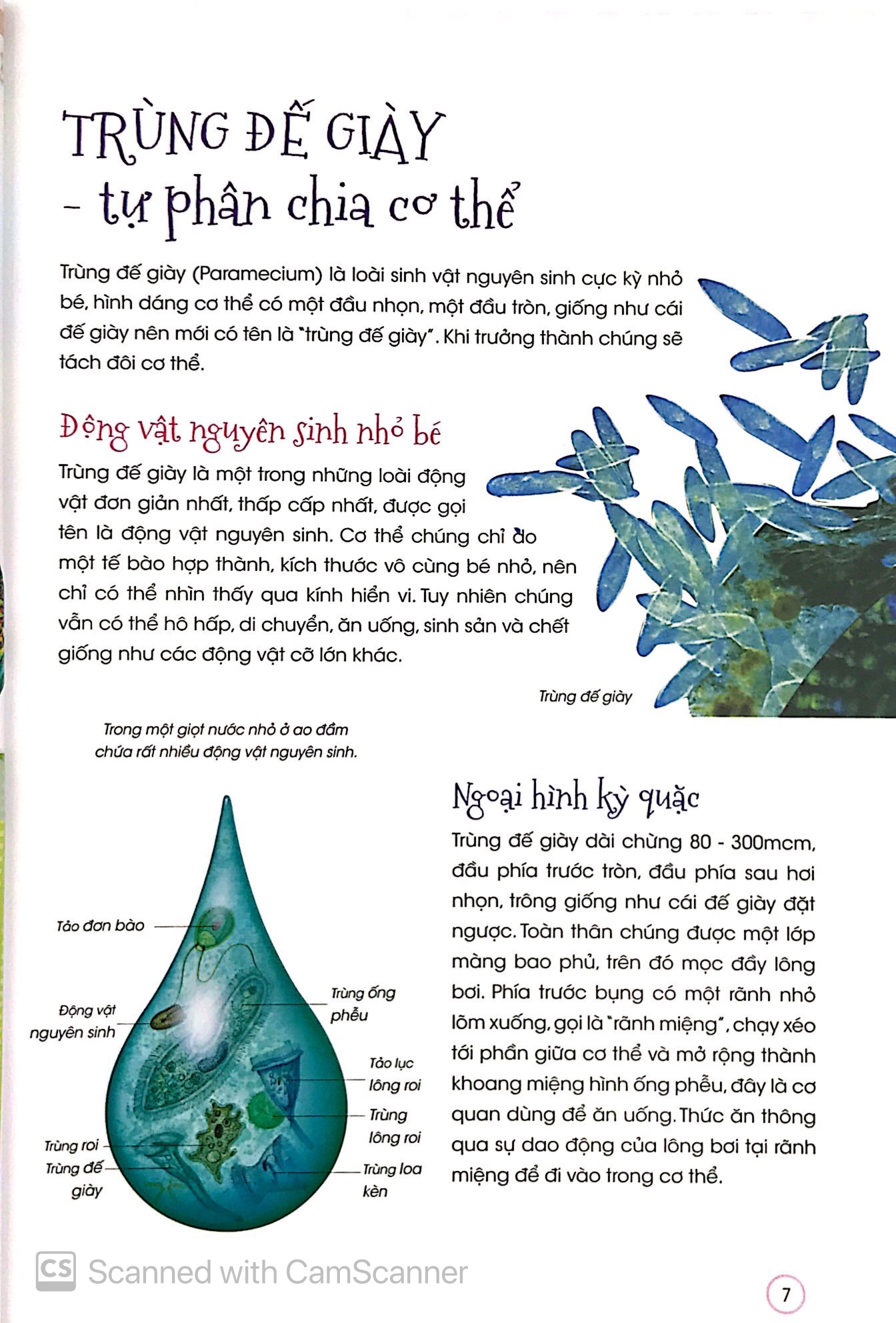 thiên nhiên - những bí mật con ân giấu - động vật kỳ quặc