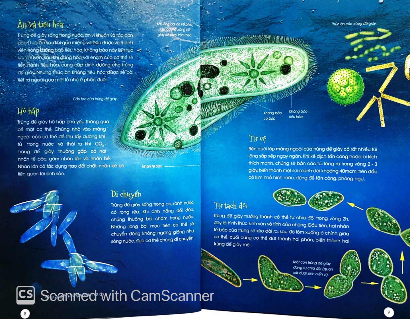 thiên nhiên - những bí mật con ân giấu - động vật kỳ quặc