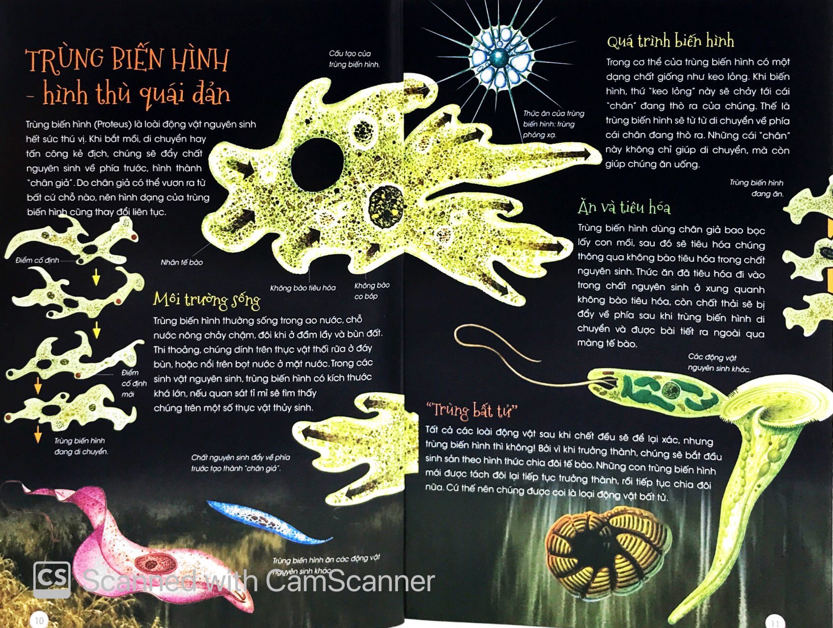 thiên nhiên - những bí mật con ân giấu - động vật kỳ quặc