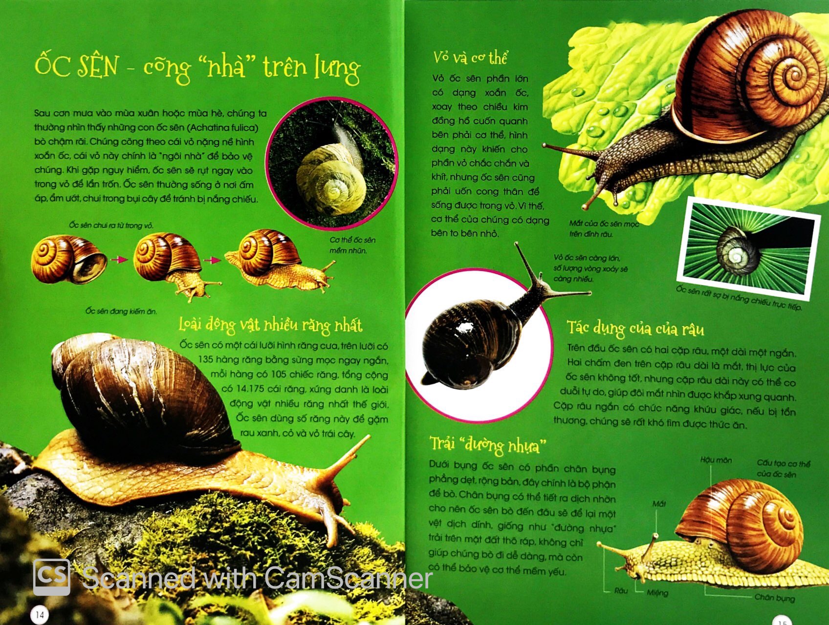 thiên nhiên - những bí mật con ân giấu - động vật kỳ quặc