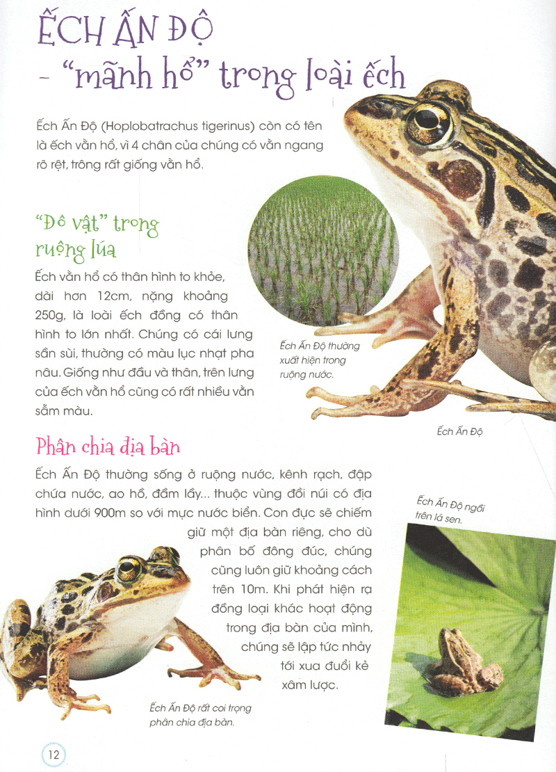 thiên nhiên - những bí mật còn ẩn giấu - động vật quý hiếm