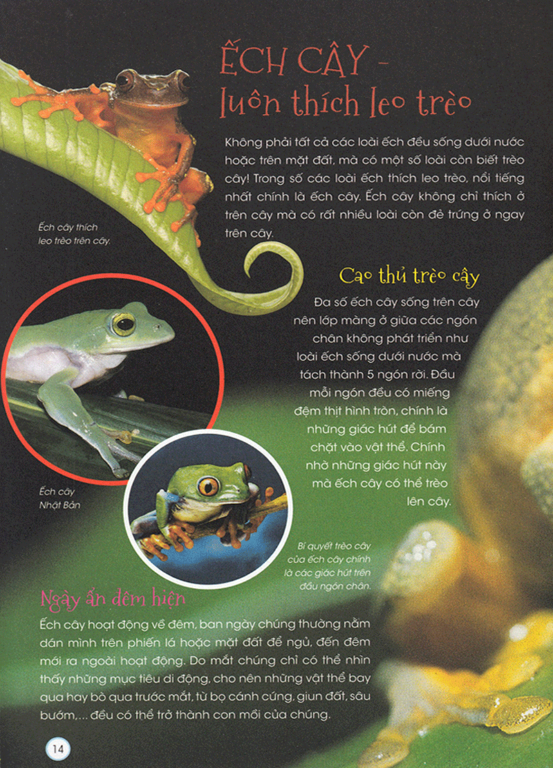 thiên nhiên - những bí mật còn ẩn giấu - động vật quý hiếm