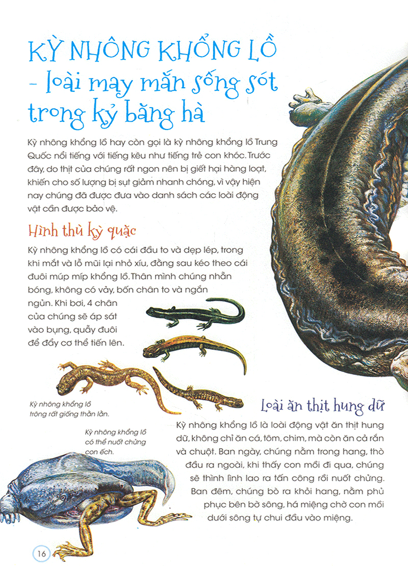 thiên nhiên - những bí mật còn ẩn giấu - động vật quý hiếm