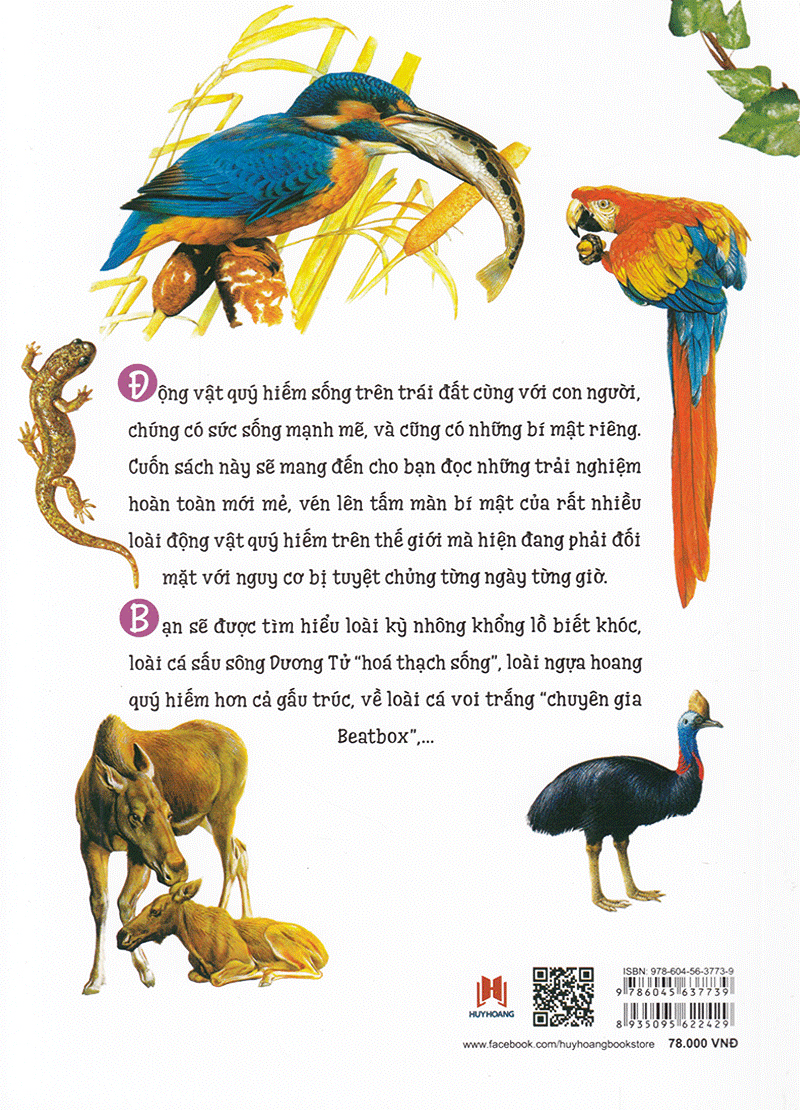 thiên nhiên - những bí mật còn ẩn giấu - động vật quý hiếm
