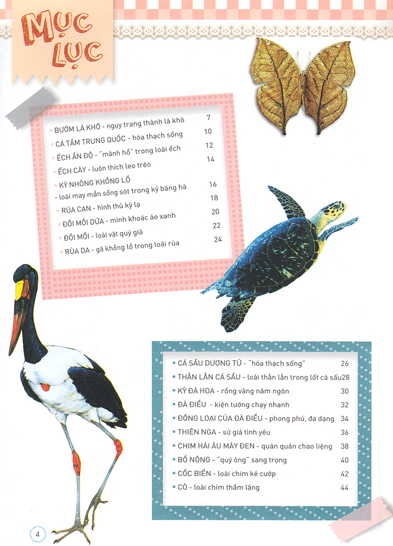 thiên nhiên - những bí mật còn ẩn giấu - động vật quý hiếm