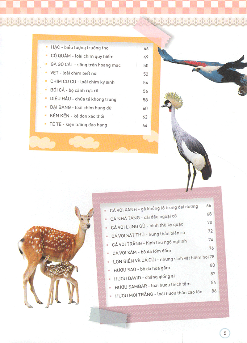 thiên nhiên - những bí mật còn ẩn giấu - động vật quý hiếm