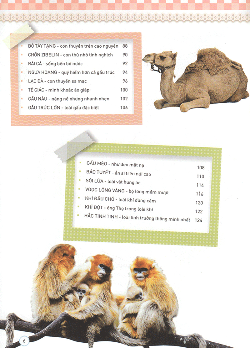 thiên nhiên - những bí mật còn ẩn giấu - động vật quý hiếm