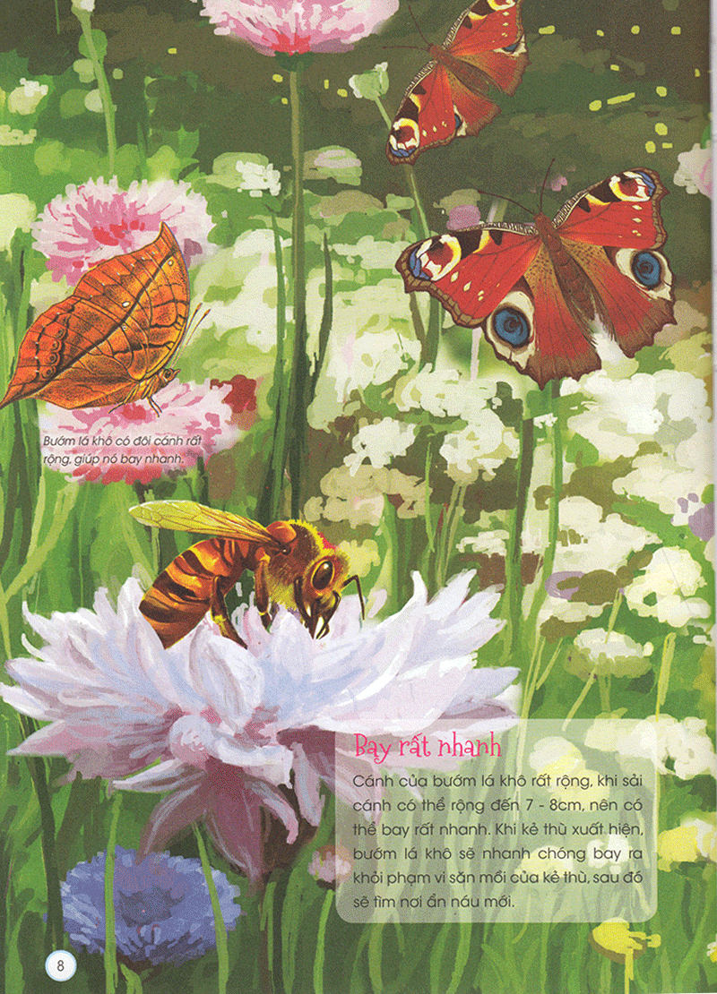 thiên nhiên - những bí mật còn ẩn giấu - động vật quý hiếm