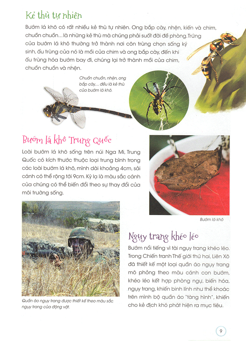 thiên nhiên - những bí mật còn ẩn giấu - động vật quý hiếm